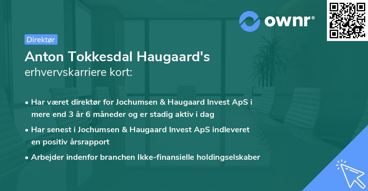 Anton Tokkesdal Haugaard's erhvervskarriere kort