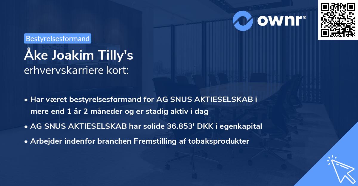 Åke Joakim Tilly's erhvervskarriere kort