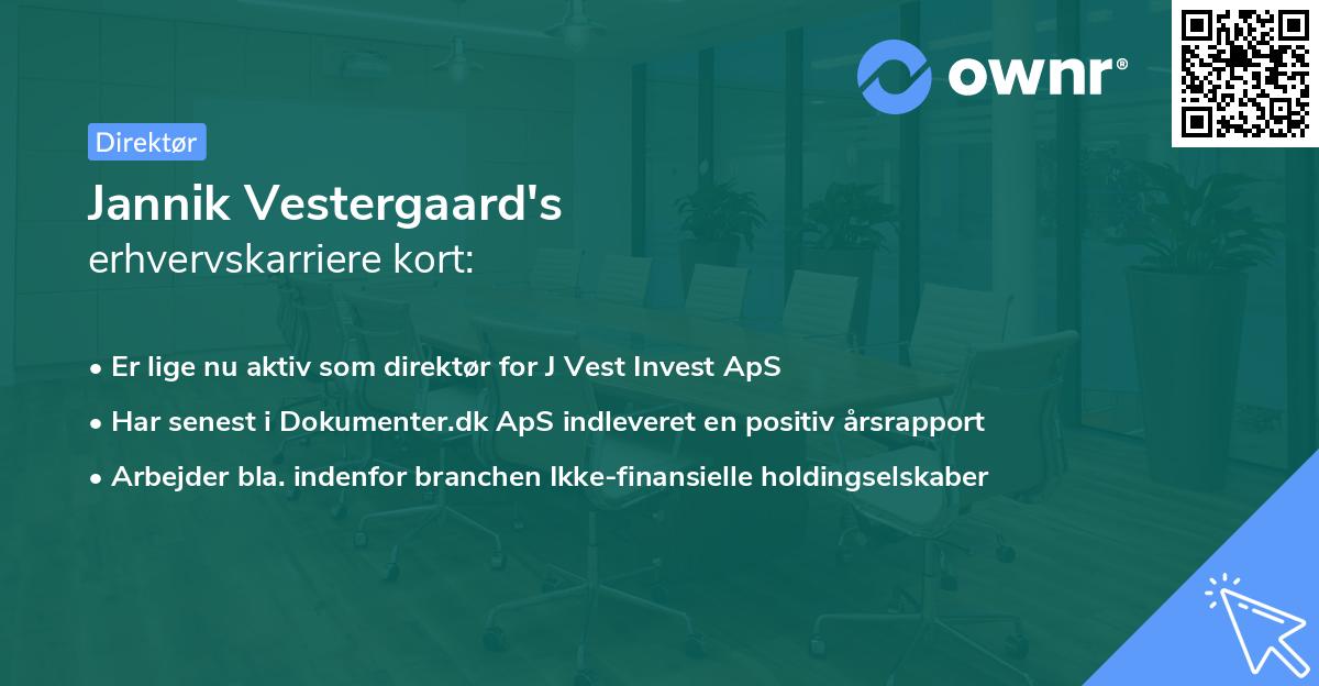 Jannik Vestergaard's erhvervskarriere kort