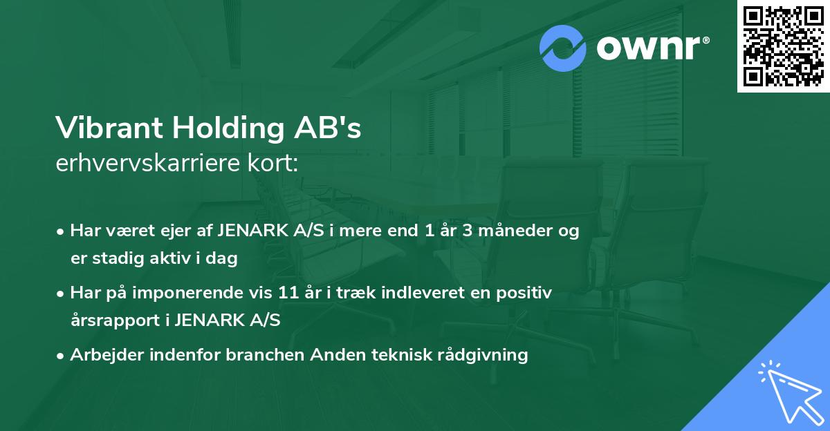 Vibrant Holding AB's erhvervskarriere kort