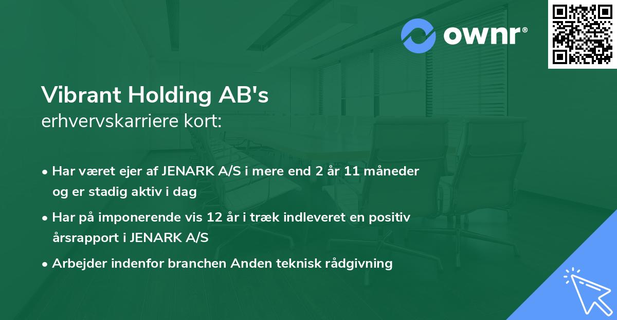 Vibrant Holding AB's erhvervskarriere kort