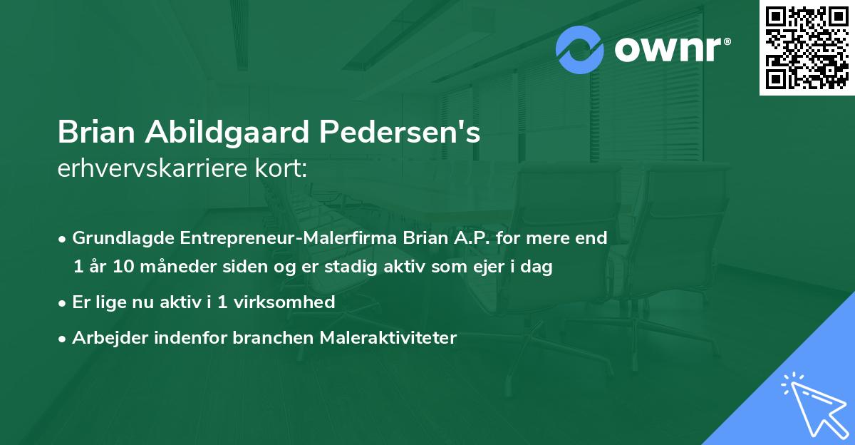 Brian Abildgaard Pedersen's erhvervskarriere kort