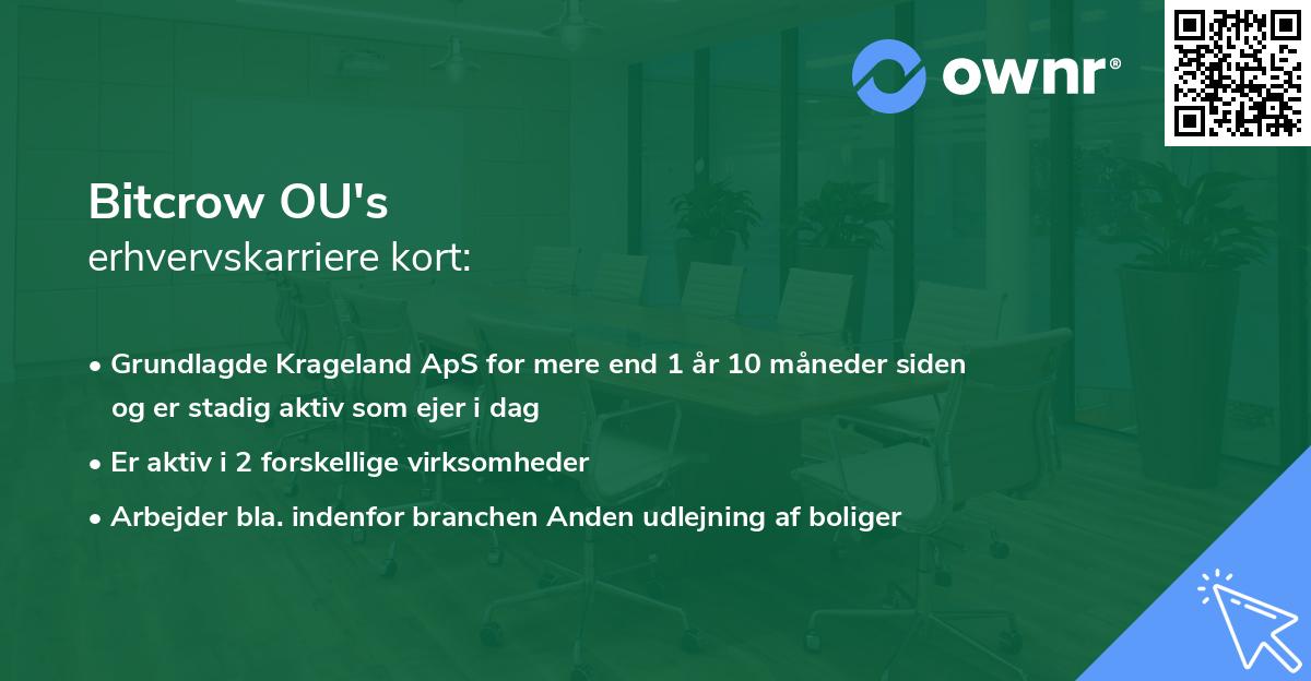 Bitcrow OU's erhvervskarriere kort