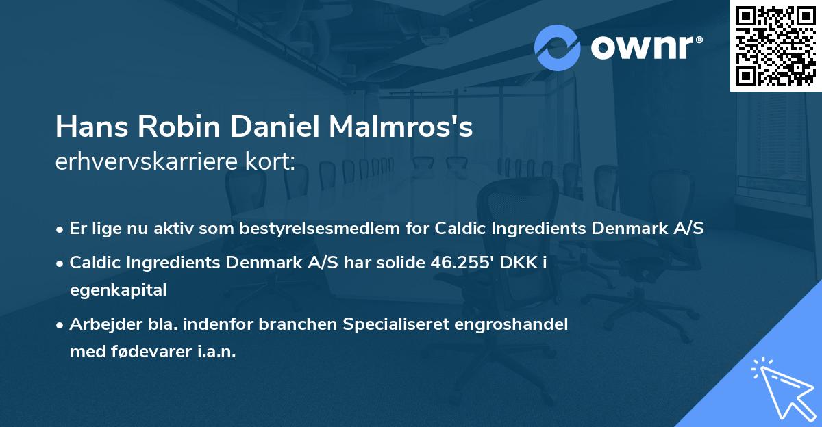 Hans Robin Daniel Malmros's erhvervskarriere kort