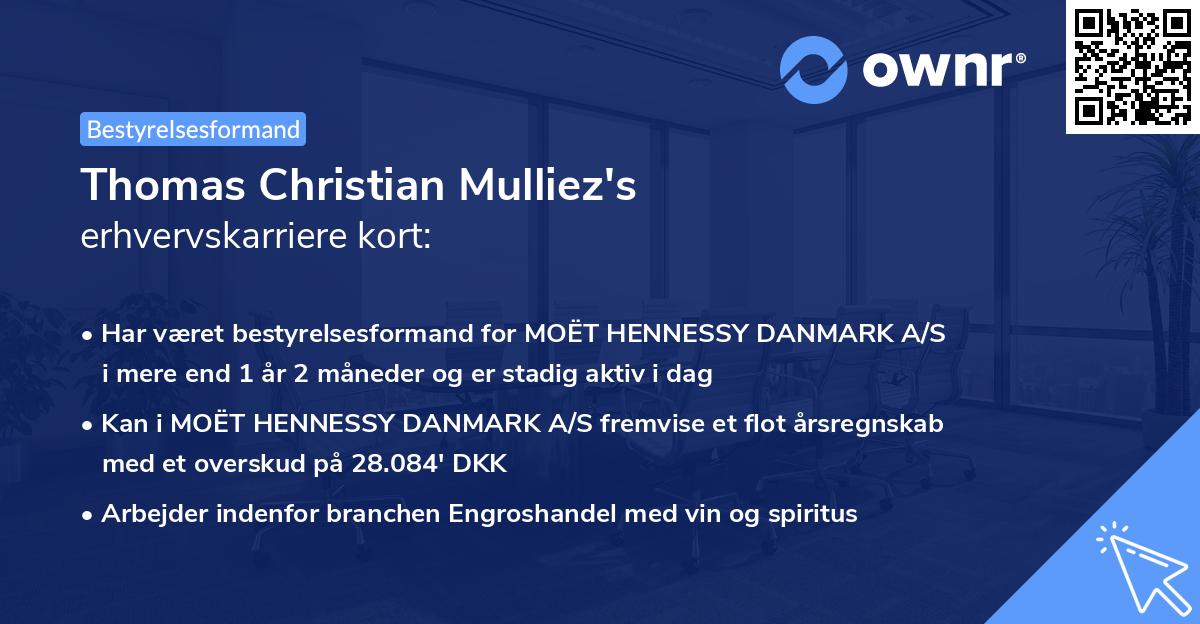 Thomas Christian Mulliez's erhvervskarriere kort