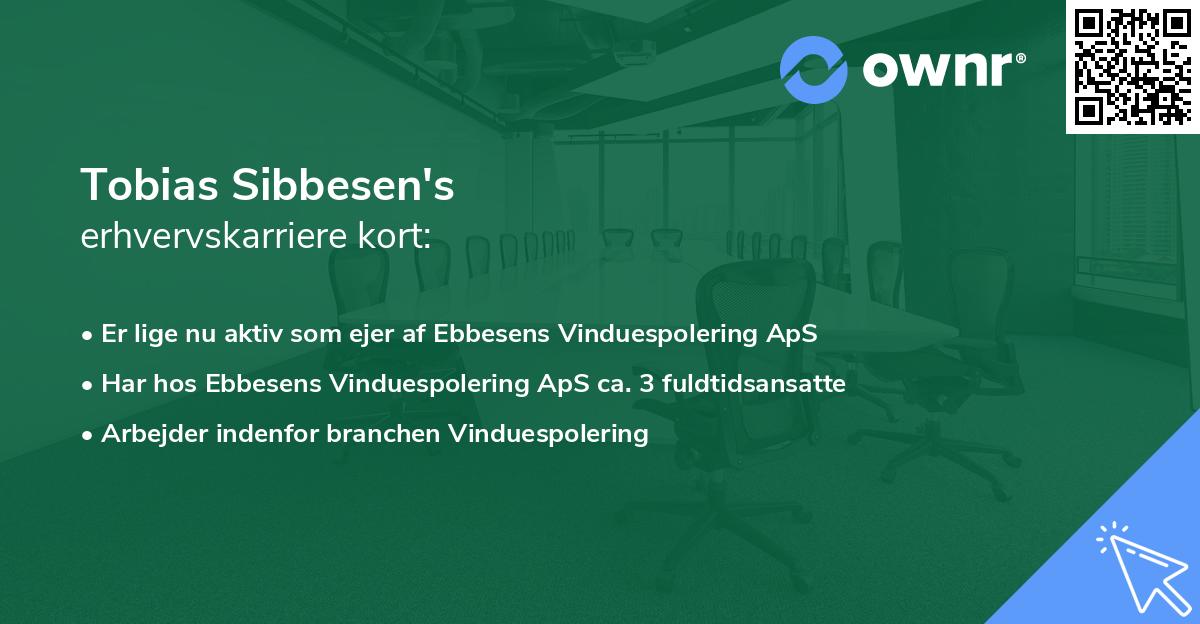 Tobias Sibbesen's erhvervskarriere kort