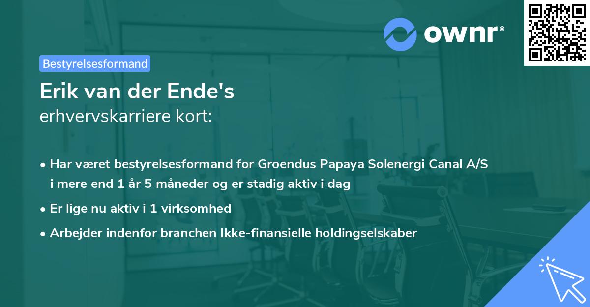 Erik van der Ende's erhvervskarriere kort