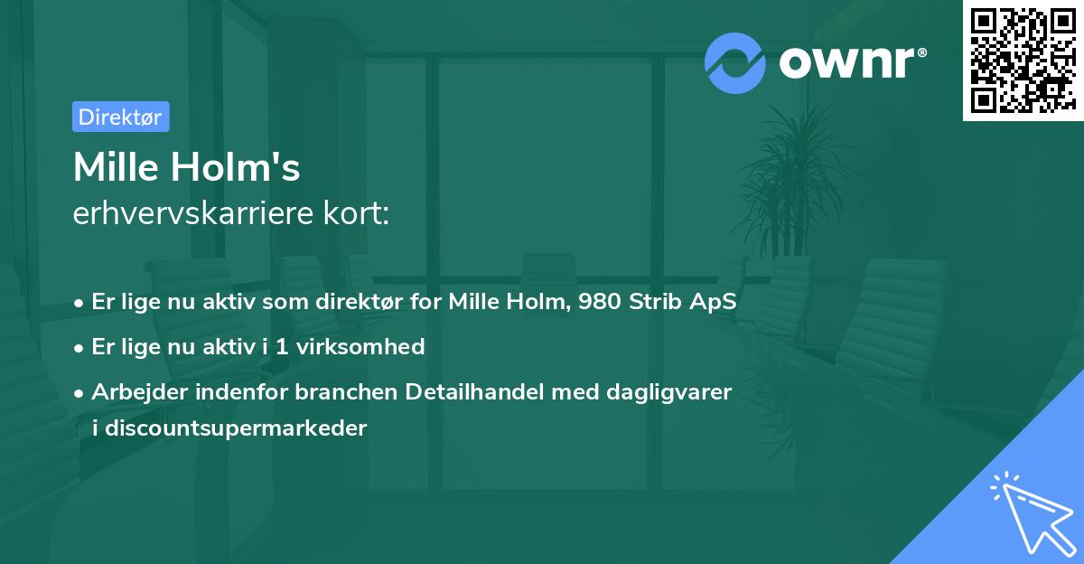 Mille Holm's erhvervskarriere kort