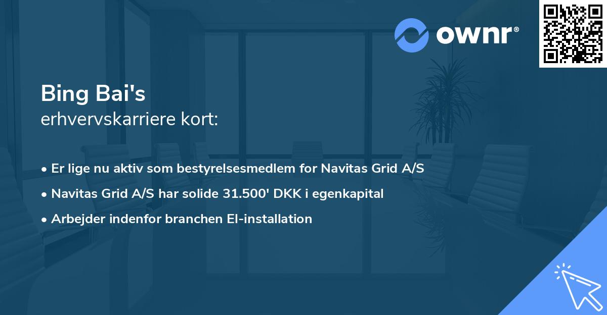 Bing Bai's erhvervskarriere kort