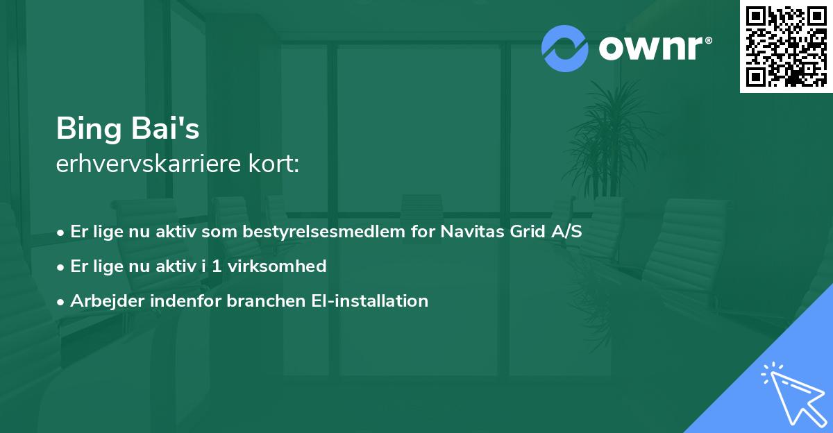 Bing Bai's erhvervskarriere kort