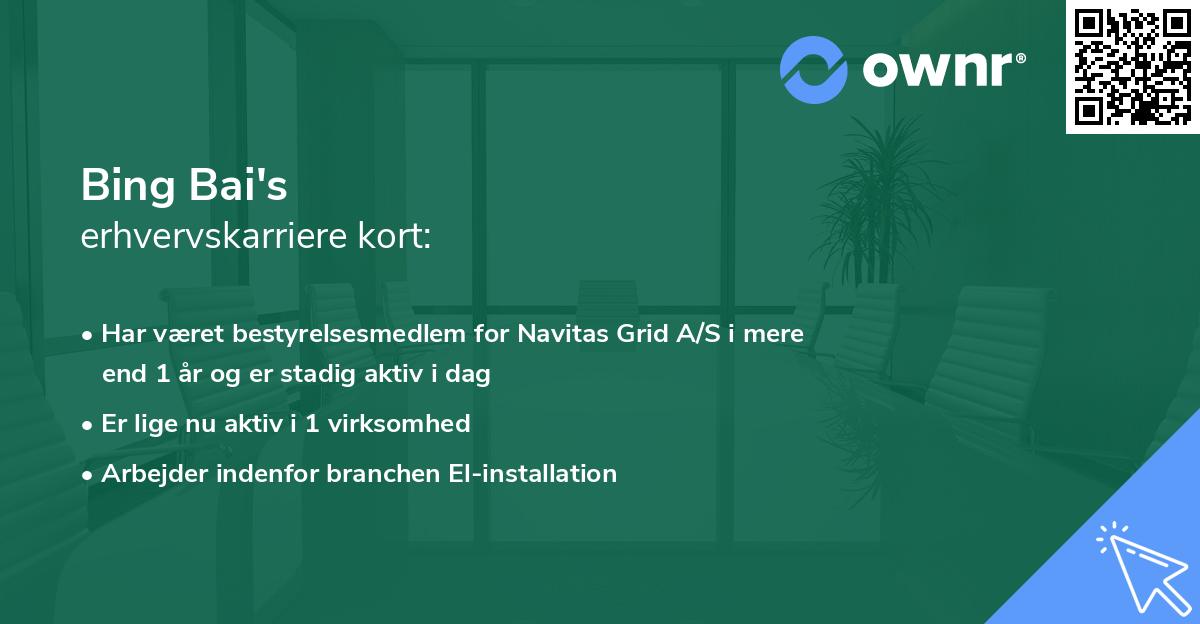 Bing Bai's erhvervskarriere kort