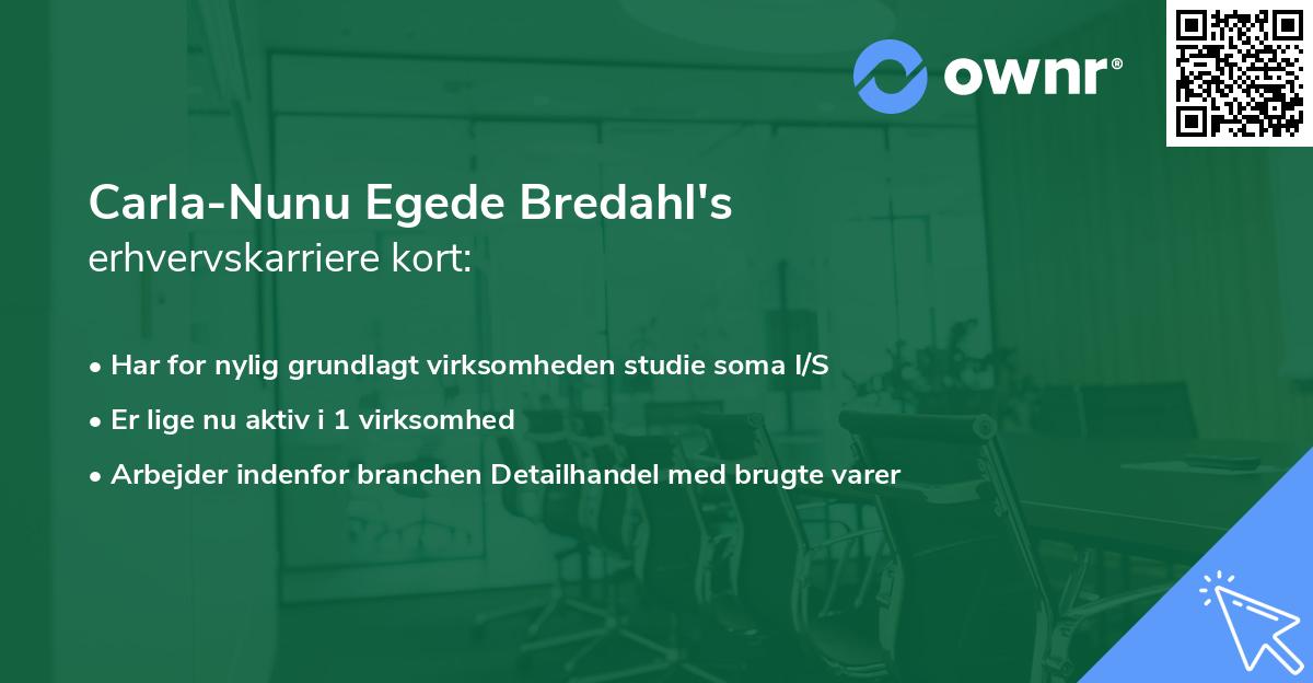 Carla-Nunu Egede Bredahl's erhvervskarriere kort