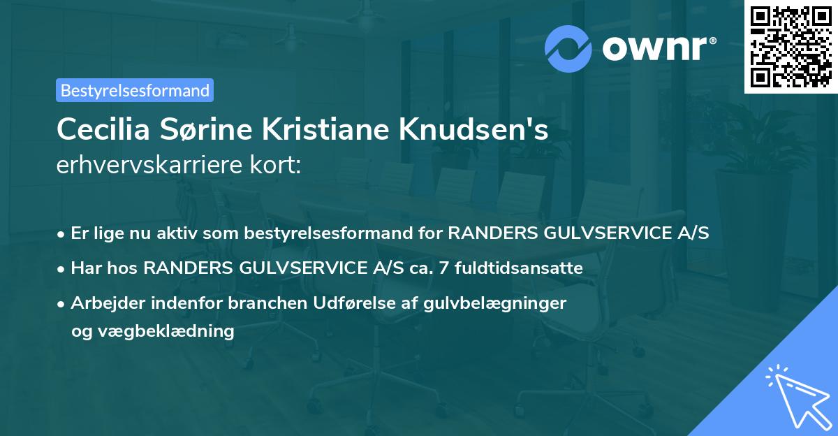 Cecilia Sørine Kristiane Knudsen's erhvervskarriere kort