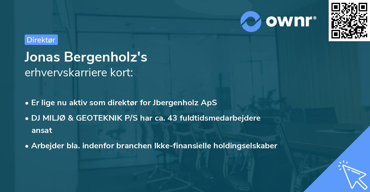 Jonas Bergenholz's erhvervskarriere kort
