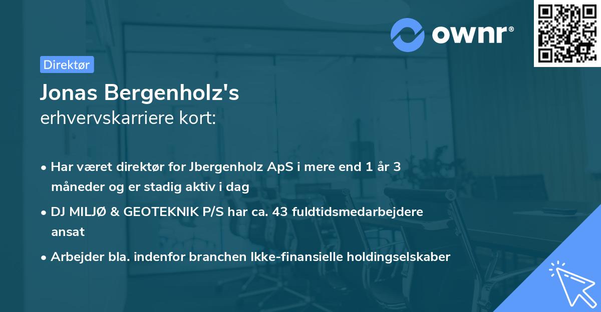 Jonas Bergenholz's erhvervskarriere kort
