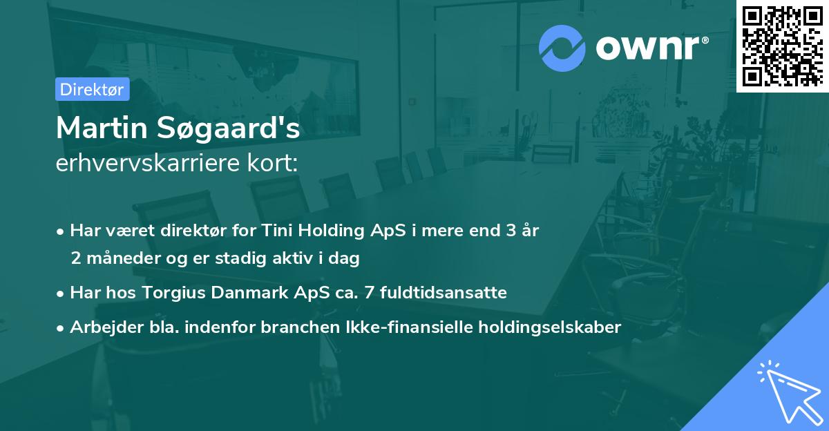 Martin Søgaard's erhvervskarriere kort
