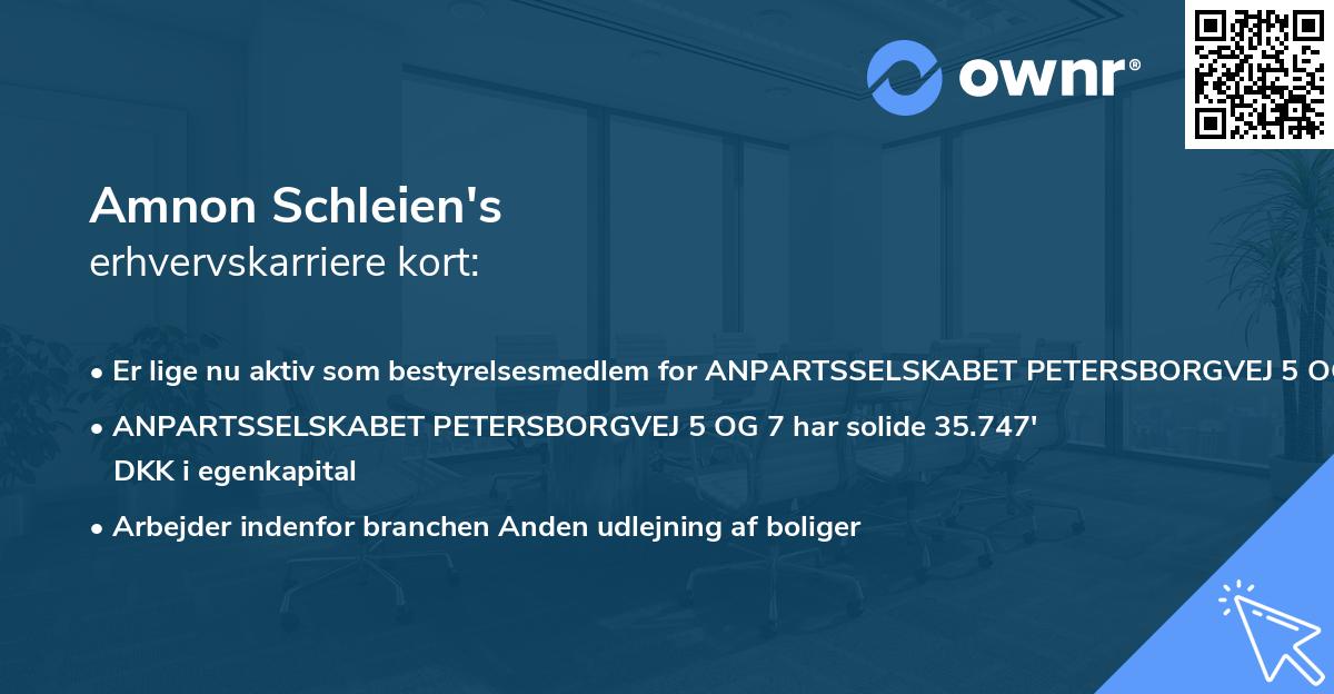 Amnon Schleien's erhvervskarriere kort