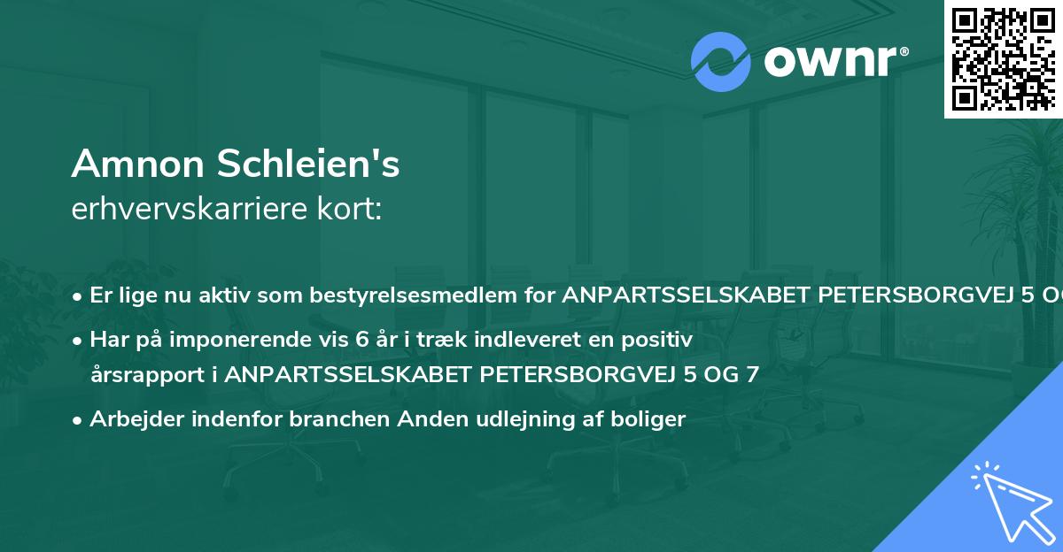 Amnon Schleien's erhvervskarriere kort