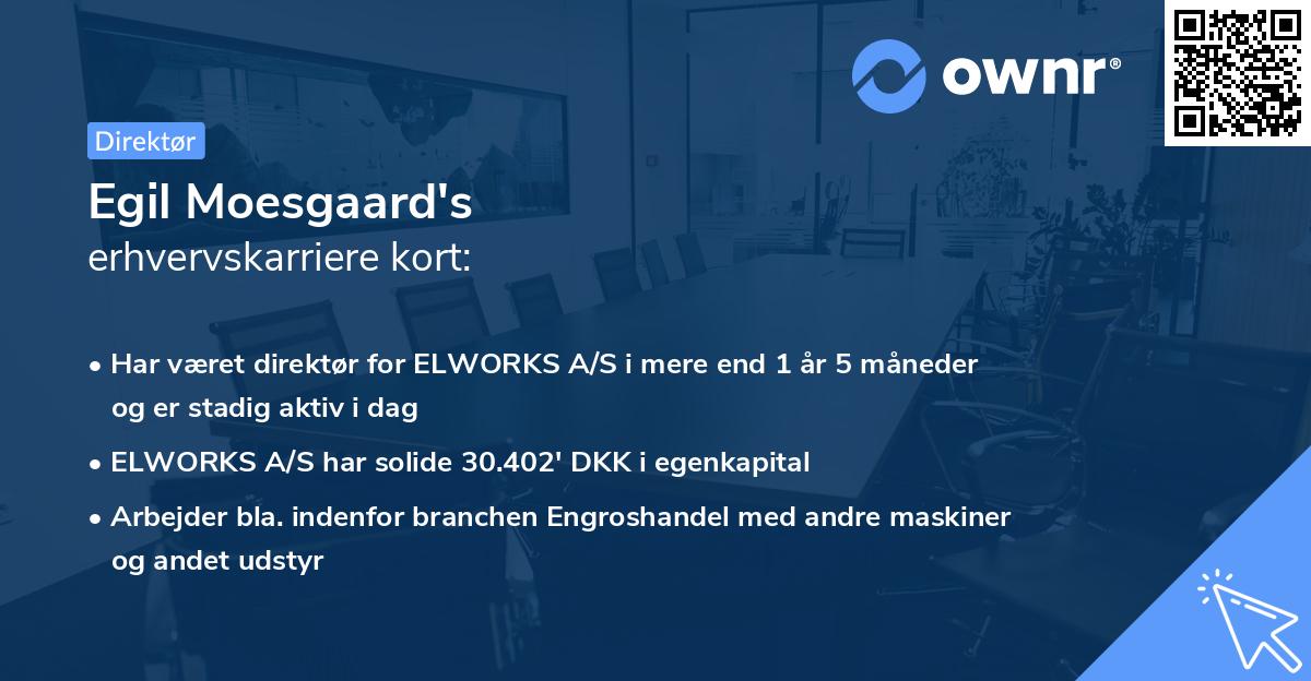 Egil Moesgaard's erhvervskarriere kort