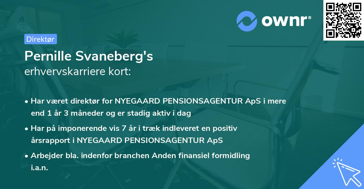 Pernille Svaneberg's erhvervskarriere kort
