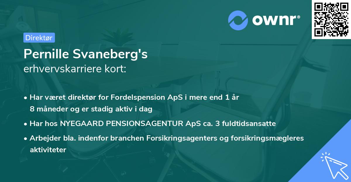Pernille Svaneberg's erhvervskarriere kort