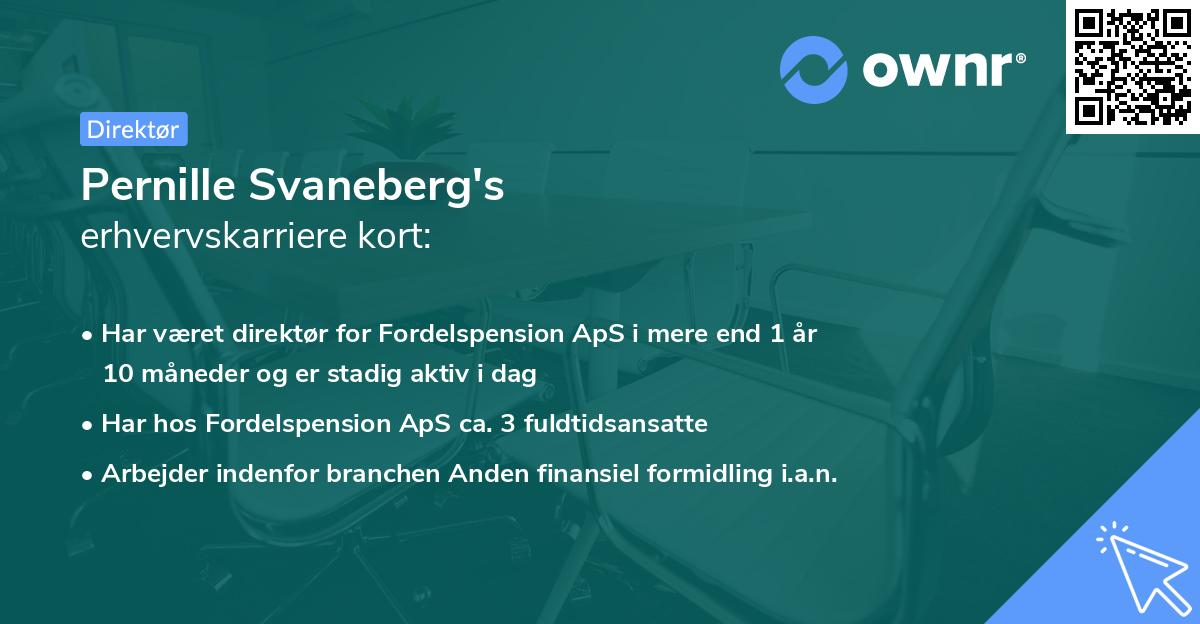 Pernille Svaneberg's erhvervskarriere kort