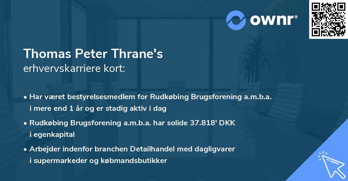 Thomas Peter Thrane's erhvervskarriere kort
