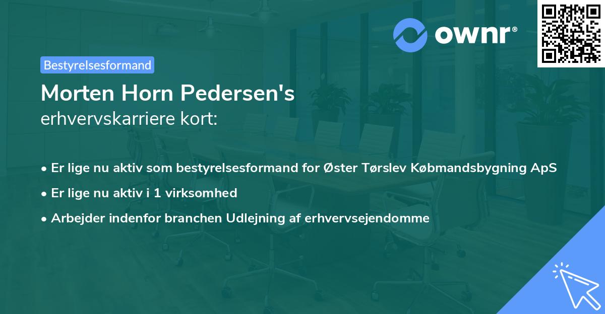 Morten Horn Pedersen's erhvervskarriere kort