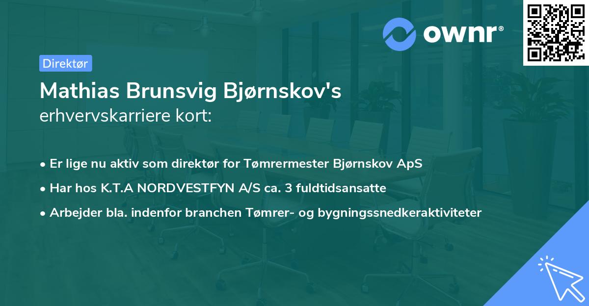 Mathias Brunsvig Bjørnskov's erhvervskarriere kort