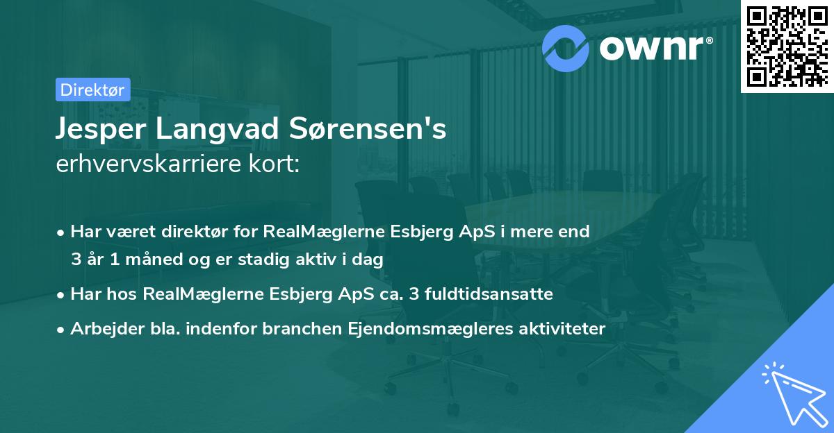 Jesper Langvad Sørensen's erhvervskarriere kort