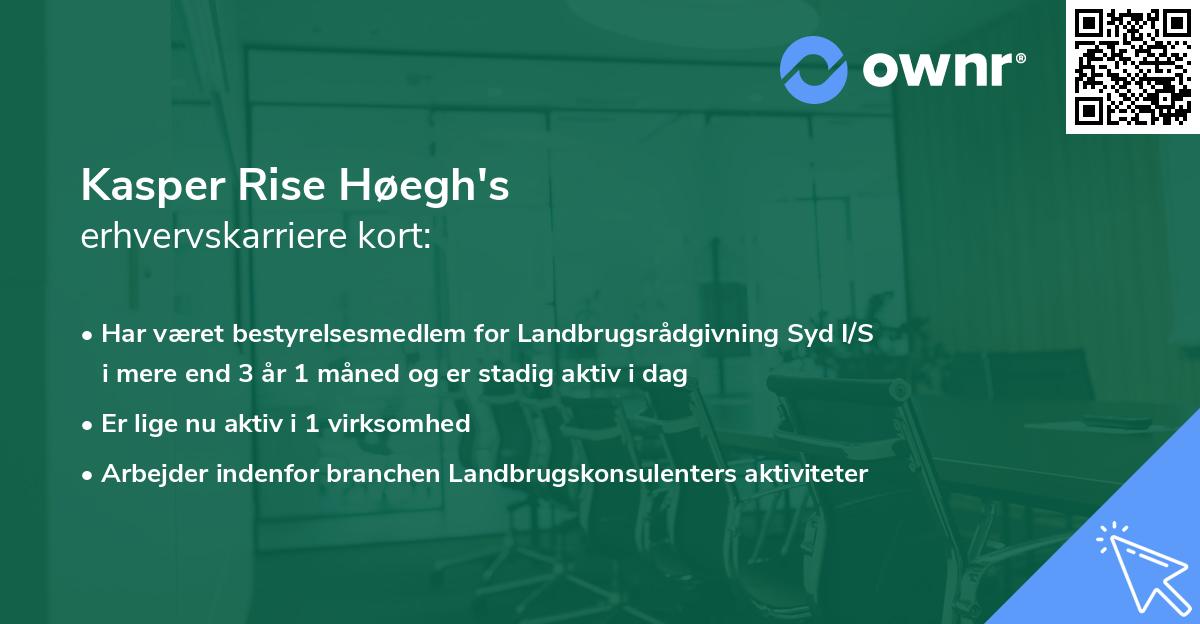 Kasper Rise Høegh's erhvervskarriere kort