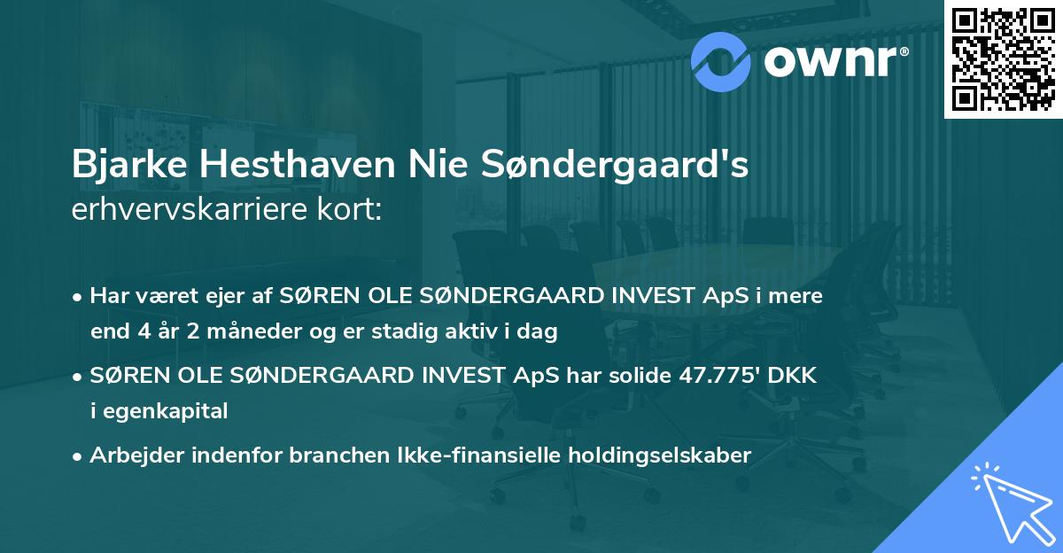Bjarke Hesthaven Nie Søndergaard's erhvervskarriere kort