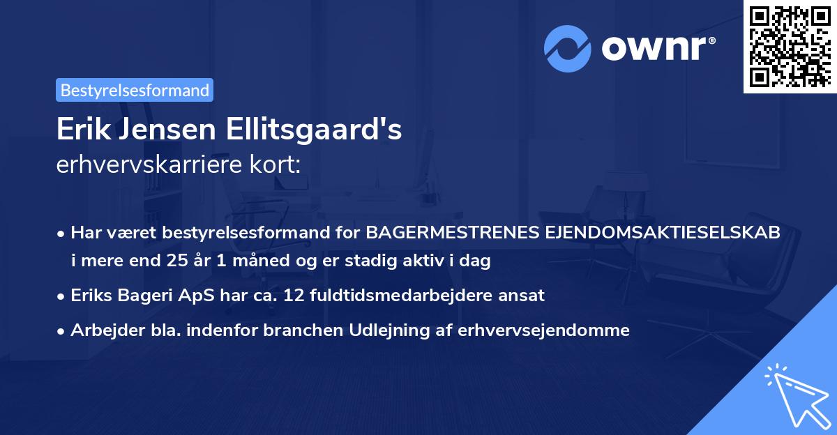 Erik Jensen Ellitsgaard's erhvervskarriere kort