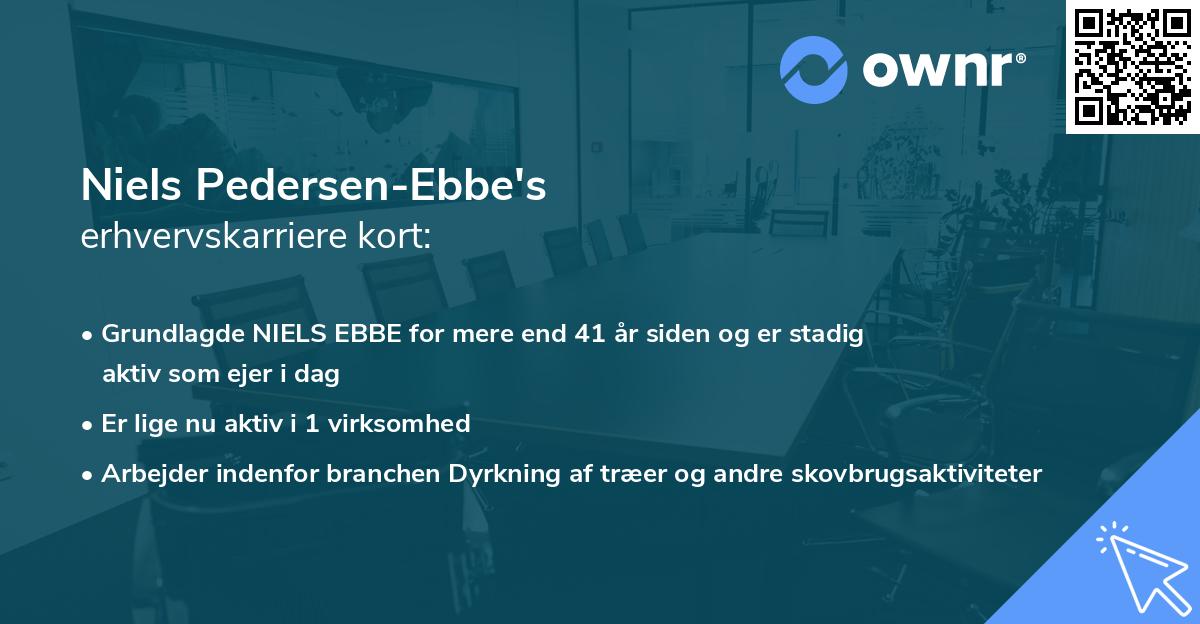 Niels Pedersen-Ebbe's erhvervskarriere kort