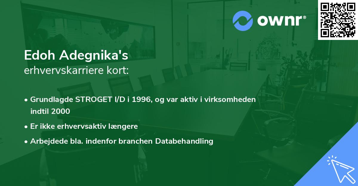Edoh Adegnika's erhvervskarriere kort