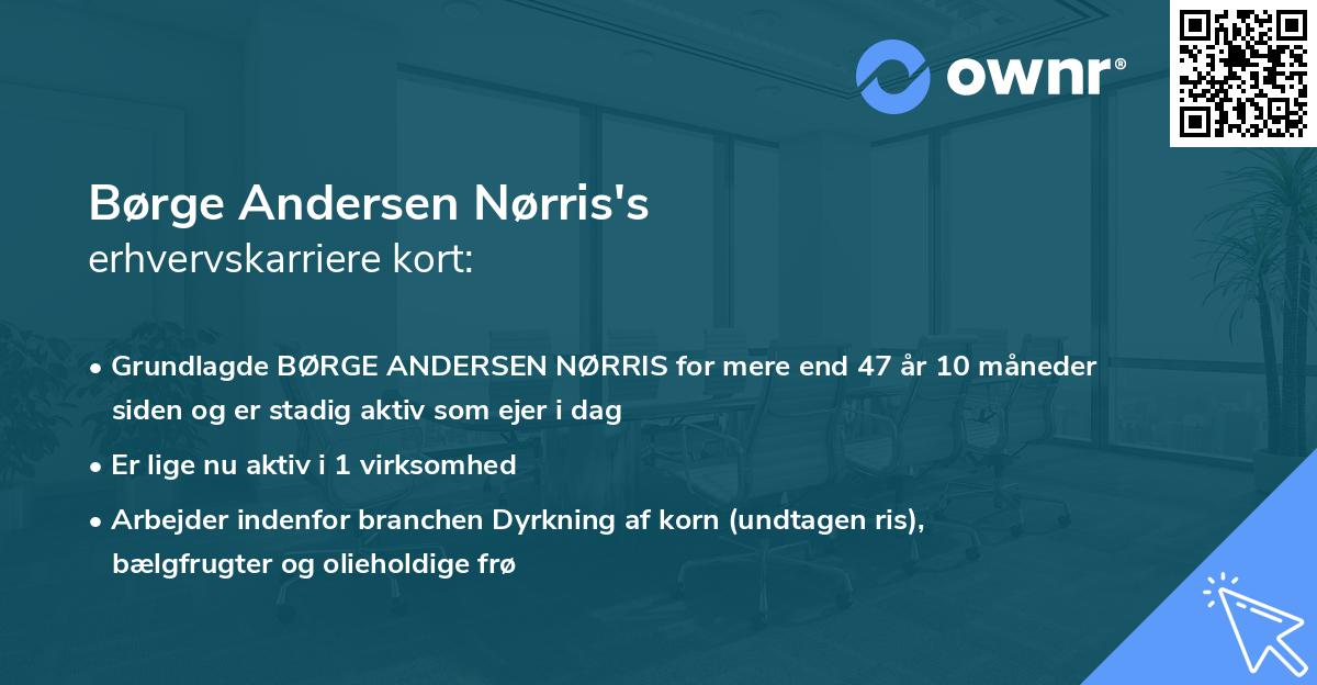 Børge Andersen Nørris's erhvervskarriere kort