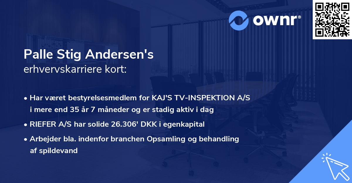 Palle Stig Andersen's erhvervskarriere kort