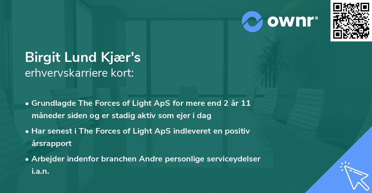 Birgit Lund Kjær's erhvervskarriere kort
