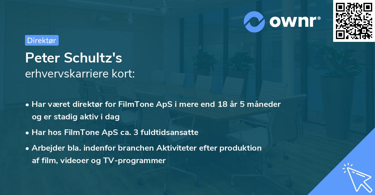 Peter Schultz's erhvervskarriere kort