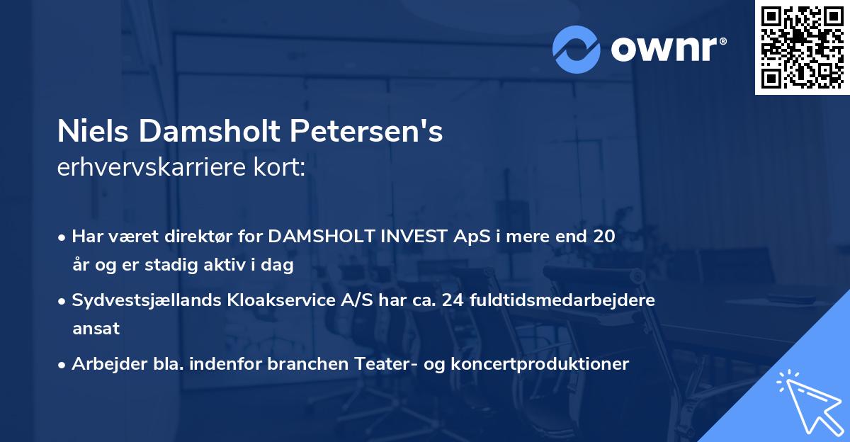 Niels Damsholt Petersen's erhvervskarriere kort