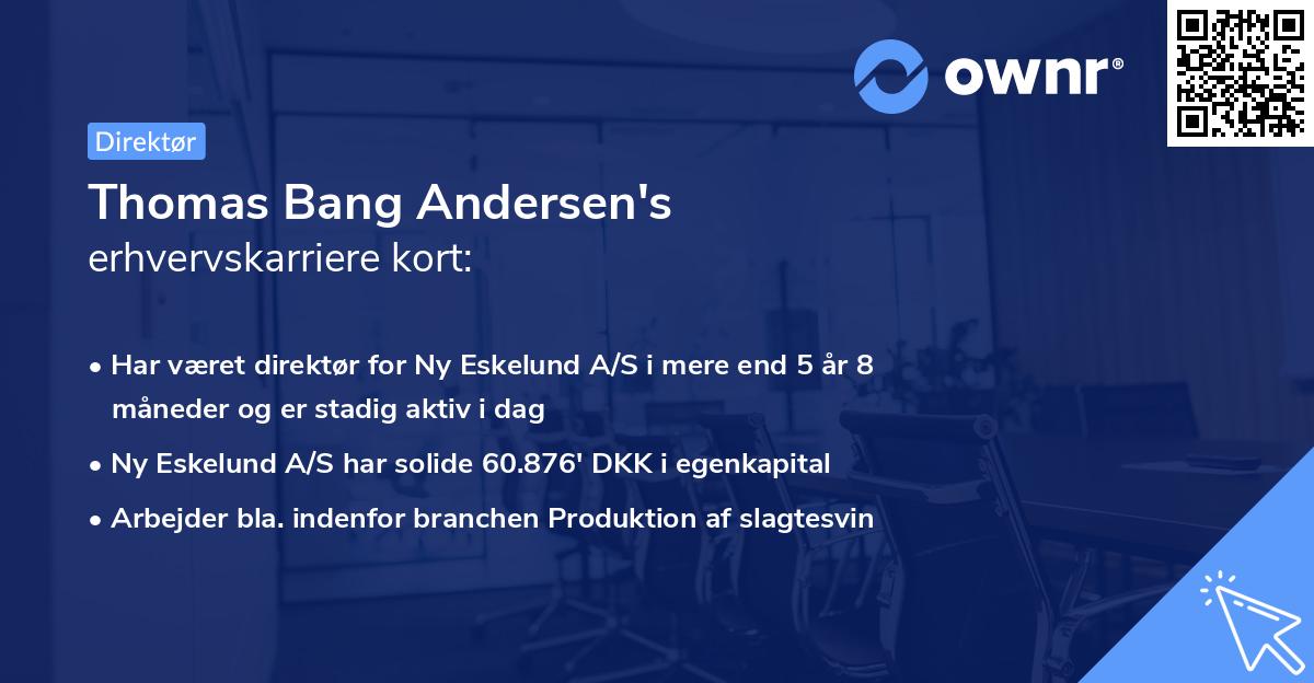 Thomas Bang Andersen's erhvervskarriere kort