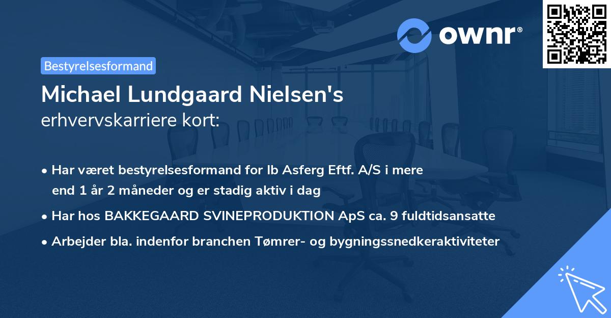 Michael Lundgaard Nielsen's erhvervskarriere kort