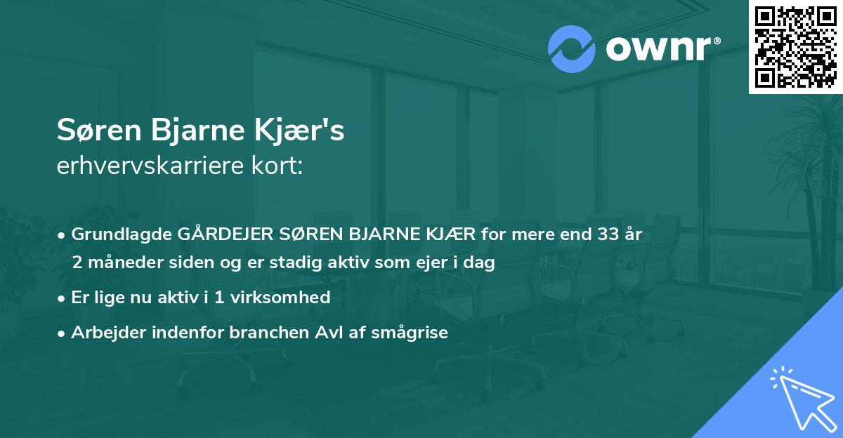 Søren Bjarne Kjær's erhvervskarriere kort