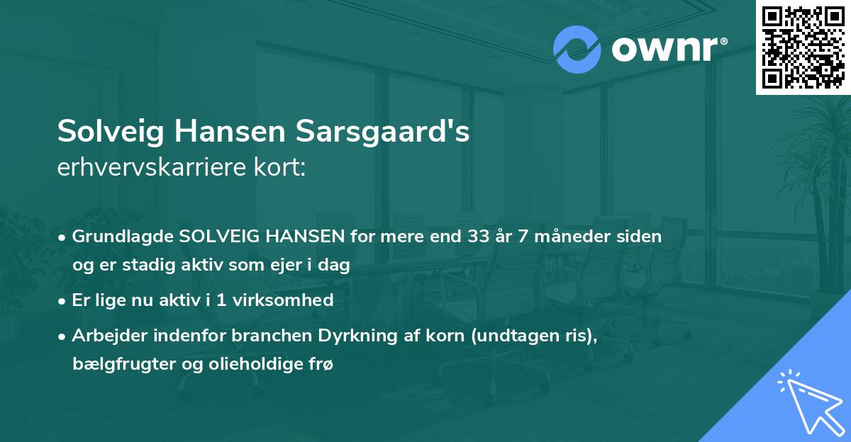 Solveig Hansen Sarsgaard's erhvervskarriere kort