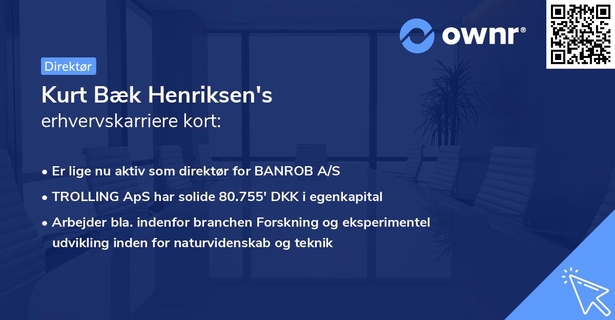 Kurt Bæk Henriksen's erhvervskarriere kort