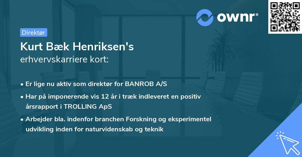 Kurt Bæk Henriksen's erhvervskarriere kort