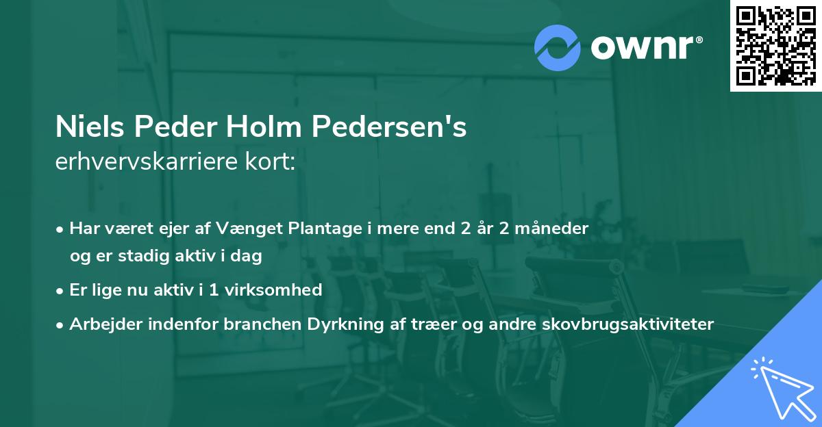 Niels Peder Holm Pedersen's erhvervskarriere kort