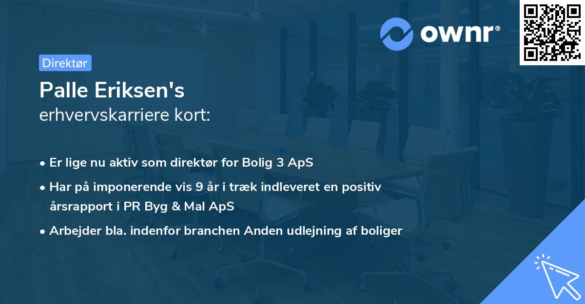 Palle Eriksen's erhvervskarriere kort