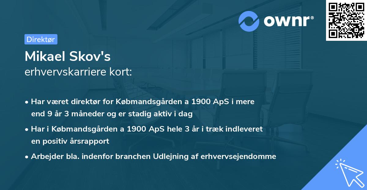 Mikael Skov's erhvervskarriere kort
