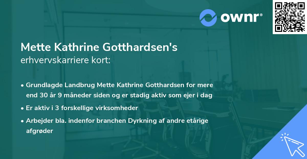 Mette Kathrine Gotthardsen's erhvervskarriere kort